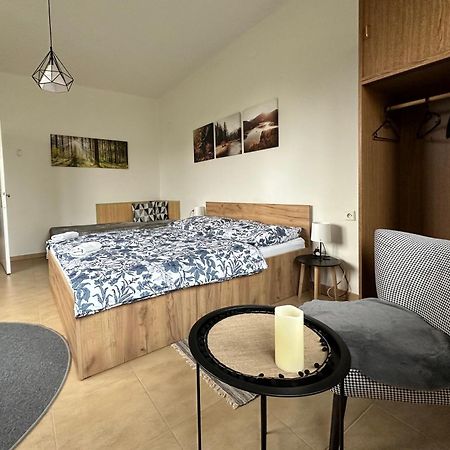 Apartman Aneta Nove Mesto Na Morave Exterior photo