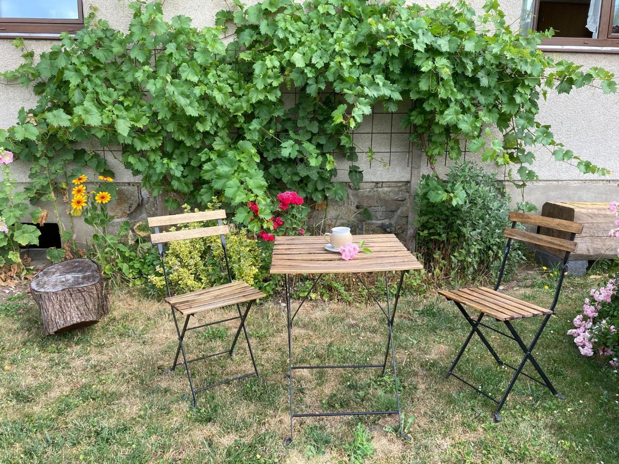 Apartman Aneta Nove Mesto Na Morave Exterior photo